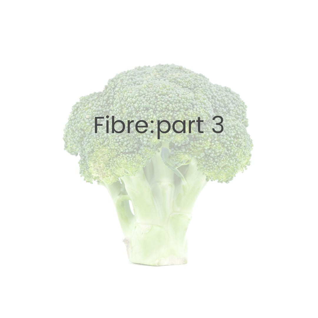 Different types of fibre and our health – We Feed You