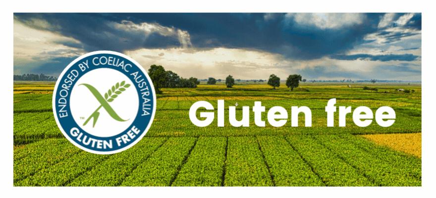 Gluten Free Meals, Home Delivered – We Feed You