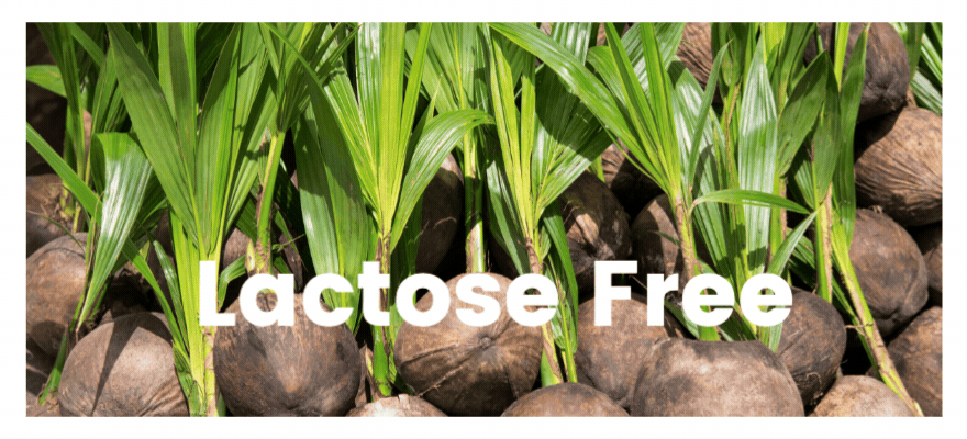 Healthy, Lactose Free Meals Delivered We Feed You