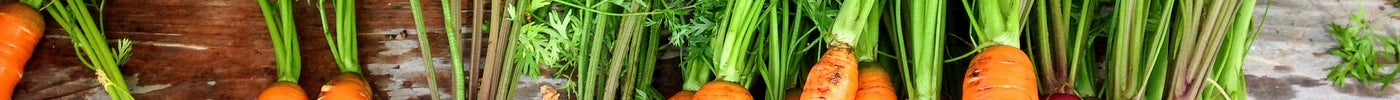 Carrots: Do they Really Help you See in the Dark?