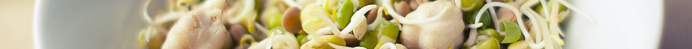 Sprouted Grains and Nutrition