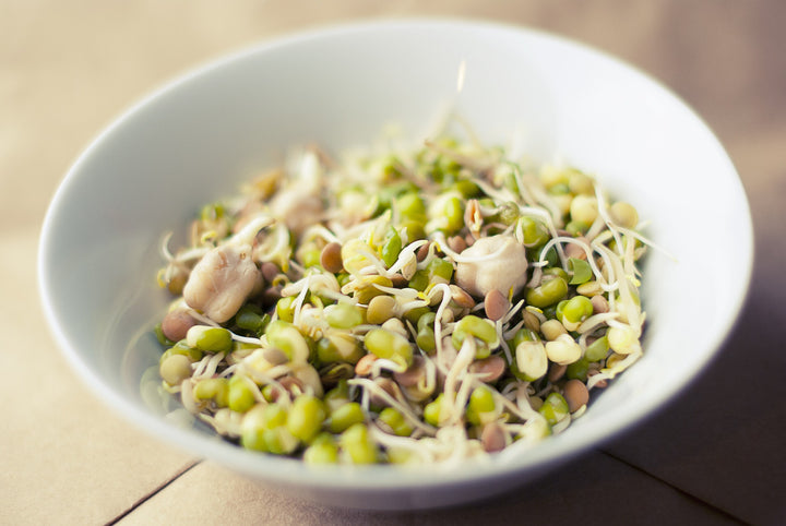 Sprouted Grains and Nutrition