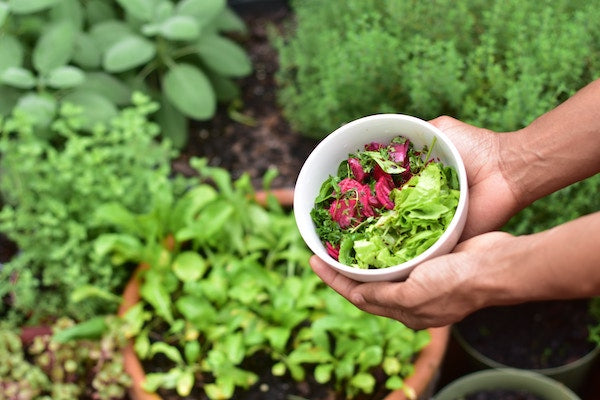 Now's a great time to plant!
