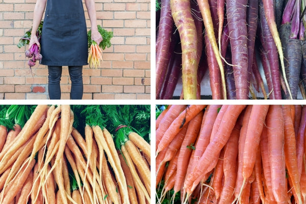 Carrots: Not As Dull As You Think!