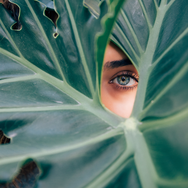 What does lutein have to do with eye health?