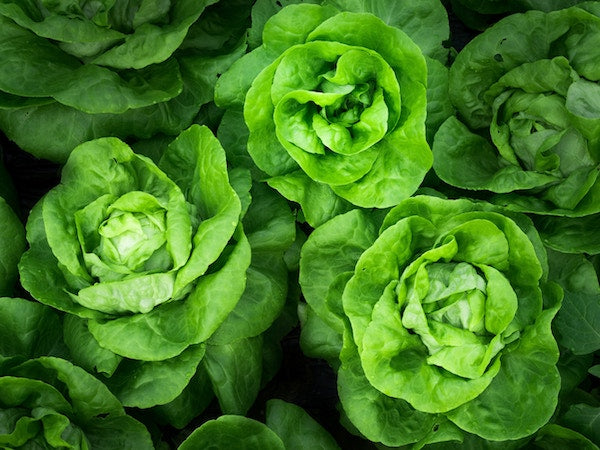 Vitamin K