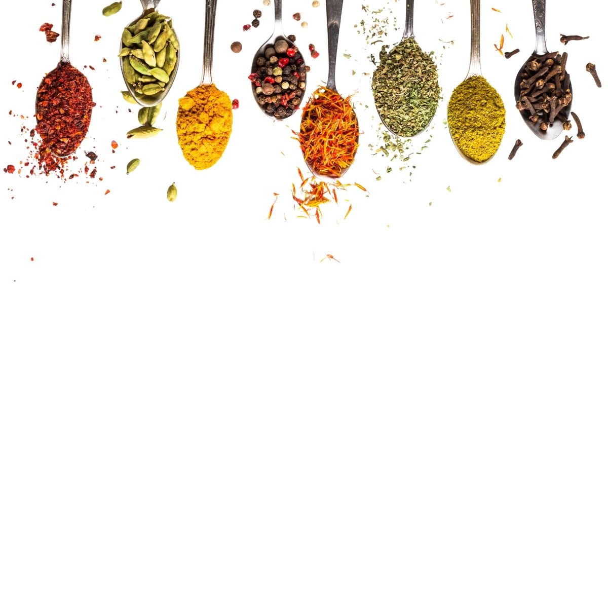 What Makes a We Feed You Curry So Good?