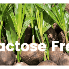 Collection image for: Lactose Free Meals