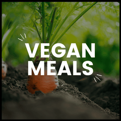 Vegan gluten free ready meals delivered
