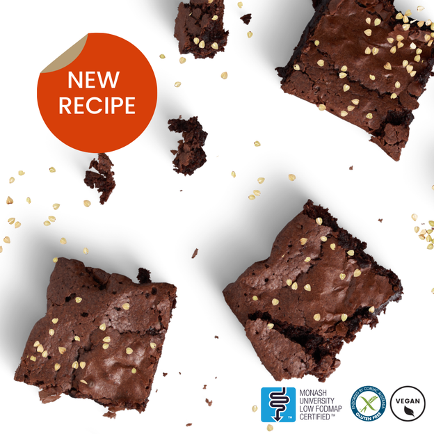 Gluten-free, vegan, Low FODMAP chocolate brownie.